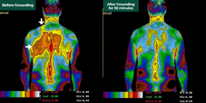 Taisok Grounding Mattress Cover